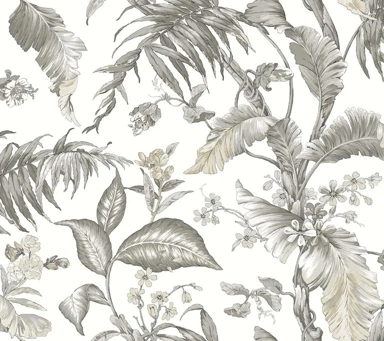 York Wallcoverings Fiji Garden wallpaper, color White, SKU PSW1371RL
