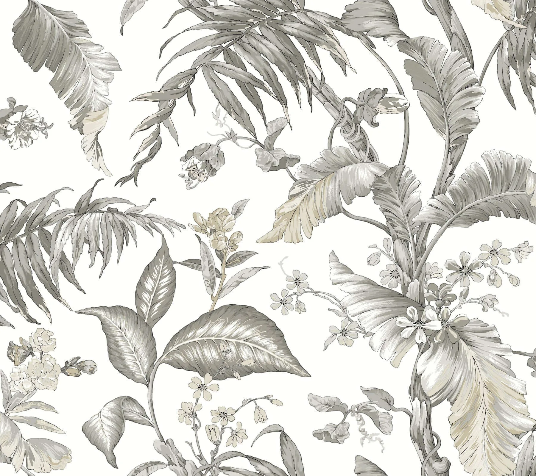 York Wallcoverings Fiji Garden wallpaper, color White, SKU PSW1371RL