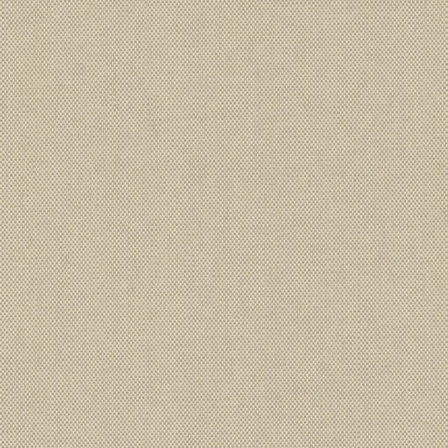 York Wallcoverings Hint wallpaper, color Fresh Cream, SKU 203-13