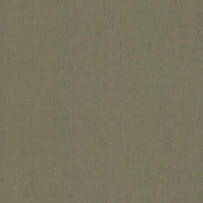 York Wallcoverings Gesso Weave wallpaper, color Moss Green Metallic, SKU 5954