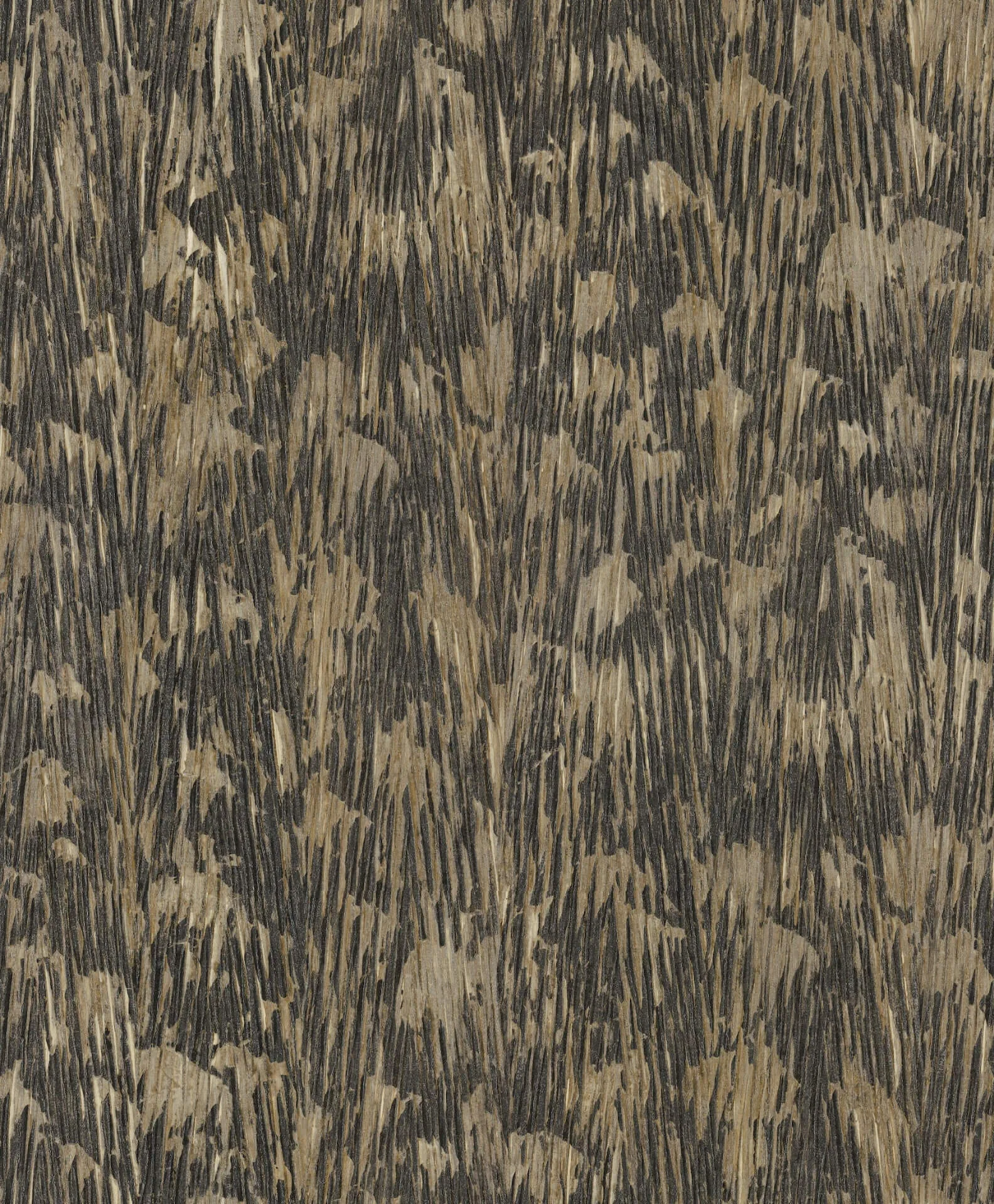 York Wallcoverings Gilded Plume wallpaper, color Black, SKU FM1004