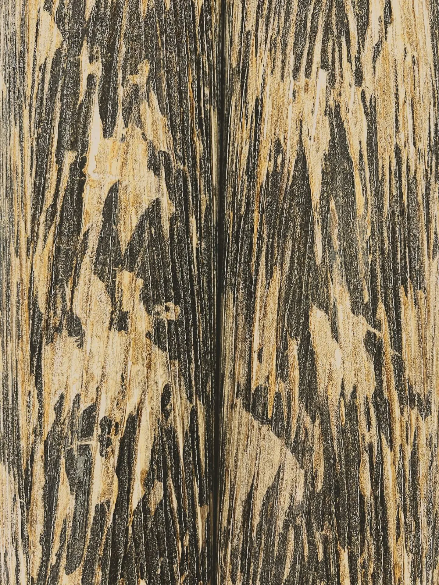 York Wallcoverings Gilded Plume - Black Wallpaper | Buy Online York Wallcoverings Gilded Plume wallpaper, color Black, SKU FM1004