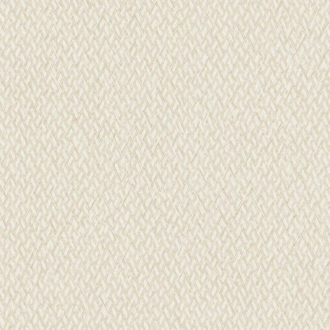 York Wallcoverings Give & Take wallpaper, color Light Beige, SKU ND3023N