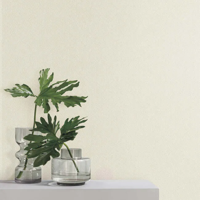 York Wallcoverings Give & Take wallpaper, color Light Beige, SKU ND3023N