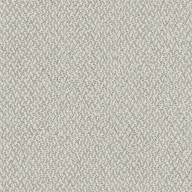 York Wallcoverings Give & Take wallpaper, color Beige & Brown, SKU ND3024N