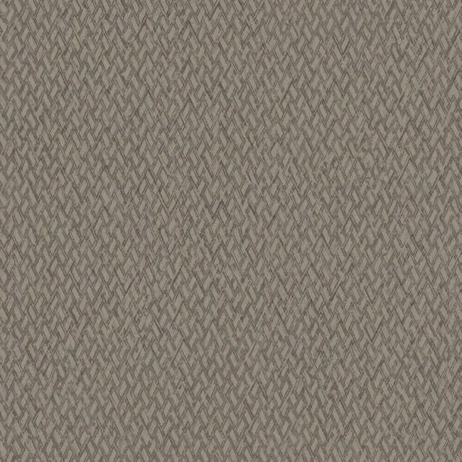 York Wallcoverings Give & Take wallpaper, color Brown, SKU ND3025N