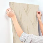 York Wallcoverings Graceful Willow - Pale Straw Wallpaper | Buy Online York Wallcoverings Graceful Willow wallpaper, color Pale Straw, SKU GN2642