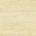 York Wallcoverings Arrowroot wallpaper, color Off White, SKU CP9345