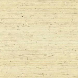 York Wallcoverings Arrowroot wallpaper, color Off White, SKU CP9345