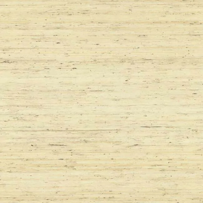 York Wallcoverings Arrowroot wallpaper, color Off White, SKU CP9345