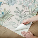 York Wallcoverings Handpainted Songbird wallpaper, color Turquiose, SKU PSW1517RL