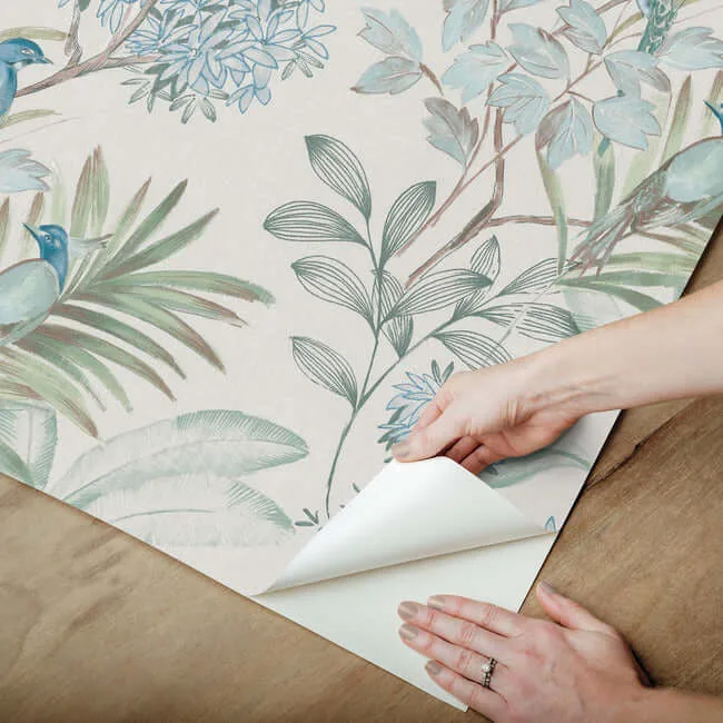 York Wallcoverings Handpainted Songbird wallpaper, color Turquiose, SKU PSW1517RL
