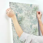 York Wallcoverings Handpainted Songbird wallpaper, color Turquiose, SKU TL1926