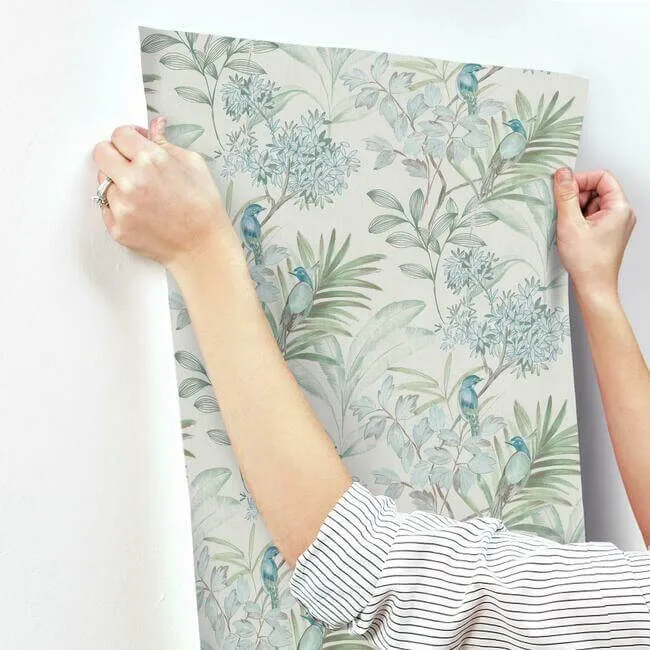 York Wallcoverings Handpainted Songbird wallpaper, color Turquiose, SKU TL1926
