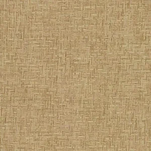York Wallcoverings Interlocking Weave Sisal Grasscloth wallpaper, color Brown, SKU VG4420