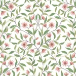York Wallcoverings Jasmine - Coral Wallpaper | Buy Online York Wallcoverings Jasmine wallpaper, color Coral, SKU GO8252