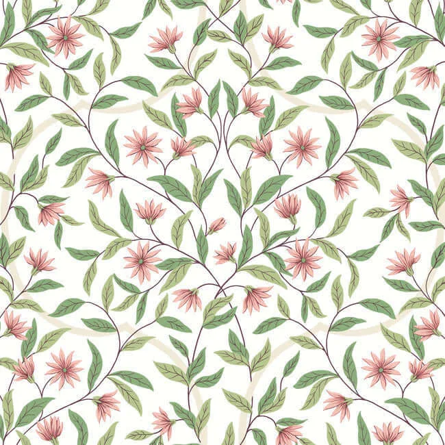 GO8252 | Jasmine – Coral