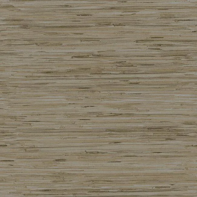 Y6201604 | Lustrous Grasscloth – Silver & Taupe
