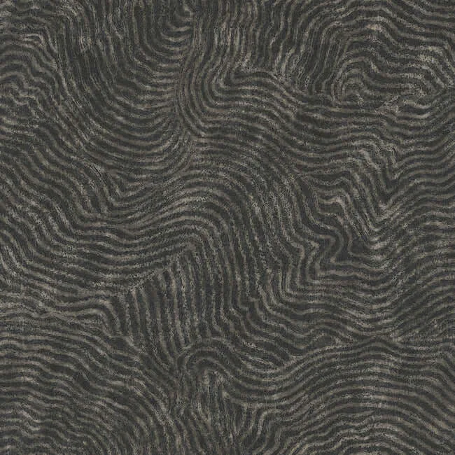 York Wallcoverings Modern Wood wallpaper, color Black, SKU OI0716