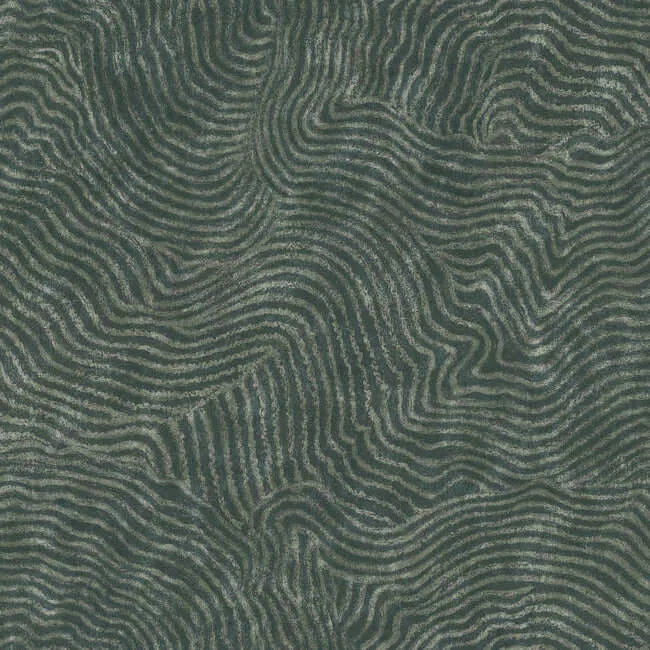 York Wallcoverings Modern Wood wallpaper, color Forest, SKU OI0711
