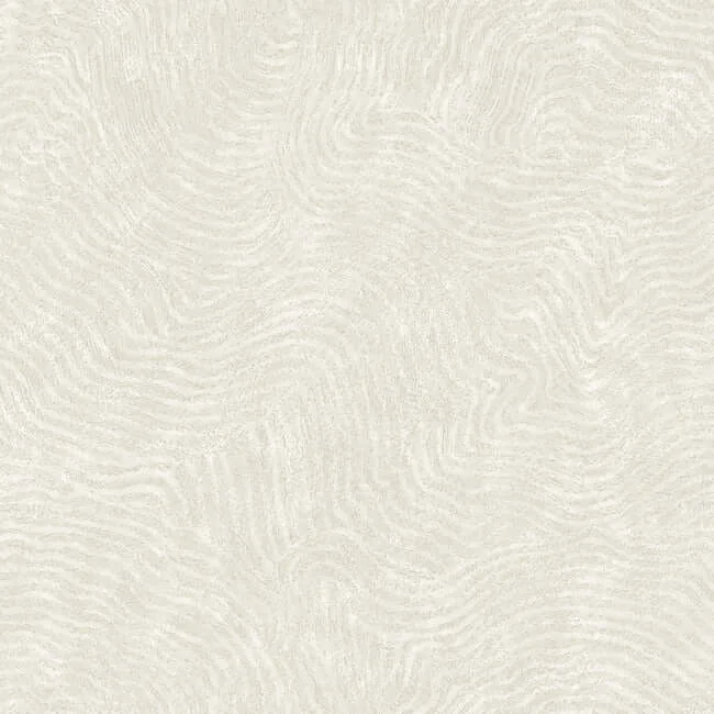 York Wallcoverings Modern Wood wallpaper, color White, SKU OI0713