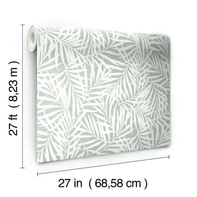 York Wallcoverings Oahu Fronds - Light Green & White Wallpaper | Buy Online York Wallcoverings Oahu Fronds wallpaper, color Light Green & White, SKU CV4434