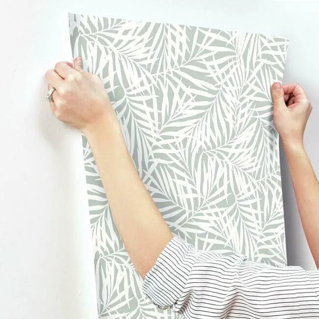 York Wallcoverings Oahu Fronds - Light Green & White Wallpaper | Buy Online York Wallcoverings Oahu Fronds wallpaper, color Light Green & White, SKU CV4434