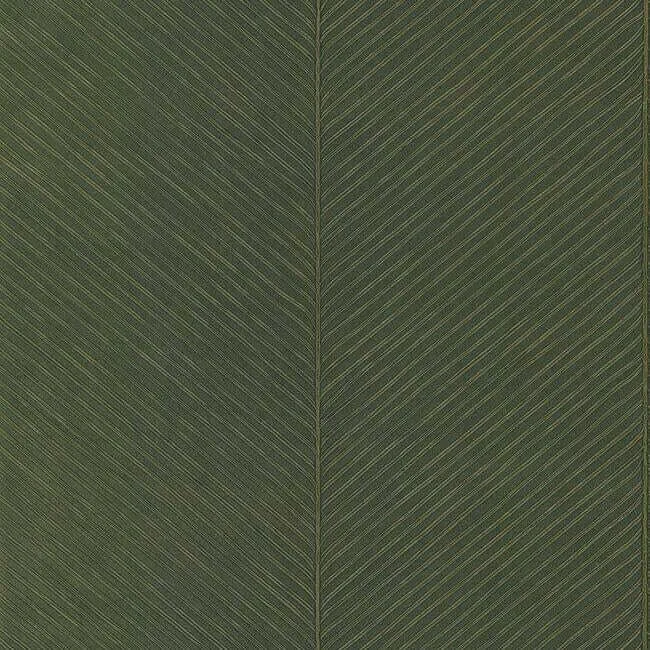 York Wallcoverings Palm Chevron wallpaper, color , SKU TC2693