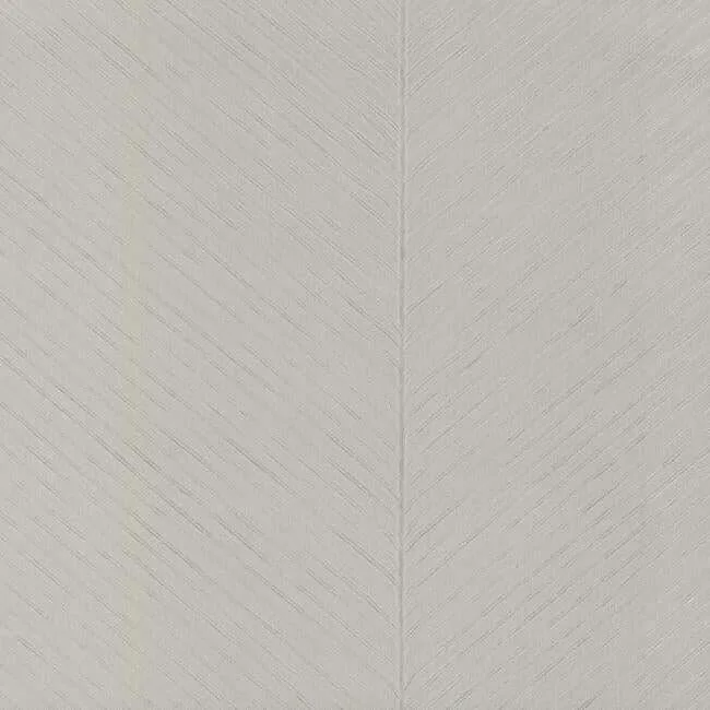 York Wallcoverings Palm Chevron wallpaper, color Grey & Silver, SKU TC2698