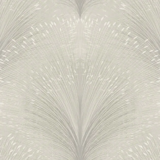 York Wallcoverings Papyrus Plume wallpaper, color Grey, SKU OI0684