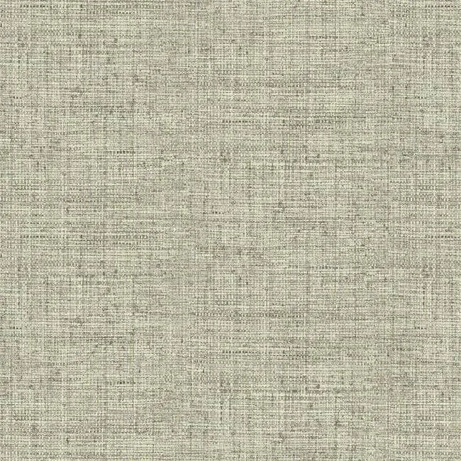 CY1557 | Papyrus Weave – Beige