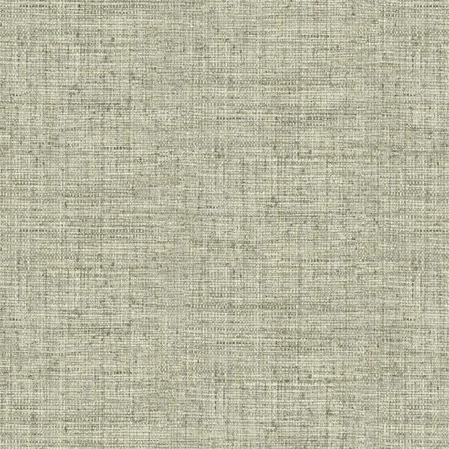 PSW1039RL | Papyrus Weave – Neutral