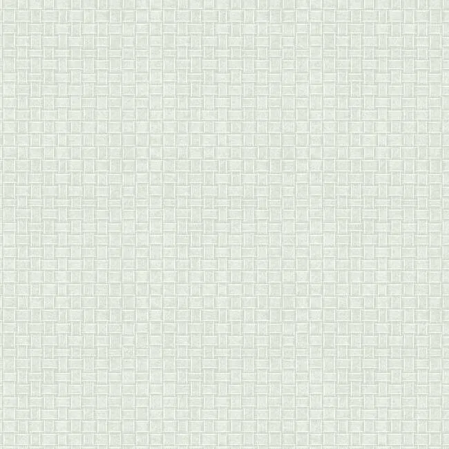 York Wallcoverings Paradise Island Weave wallpaper, color Light Grey, SKU TC2612