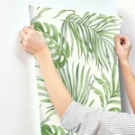 York Wallcoverings Paradise Palm - Green Wallpaper | Buy Online York Wallcoverings Paradise Palm wallpaper, color Green, SKU SO2450