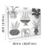 York Wallcoverings Plant Party wallpaper, color Black, SKU PSW1251RL