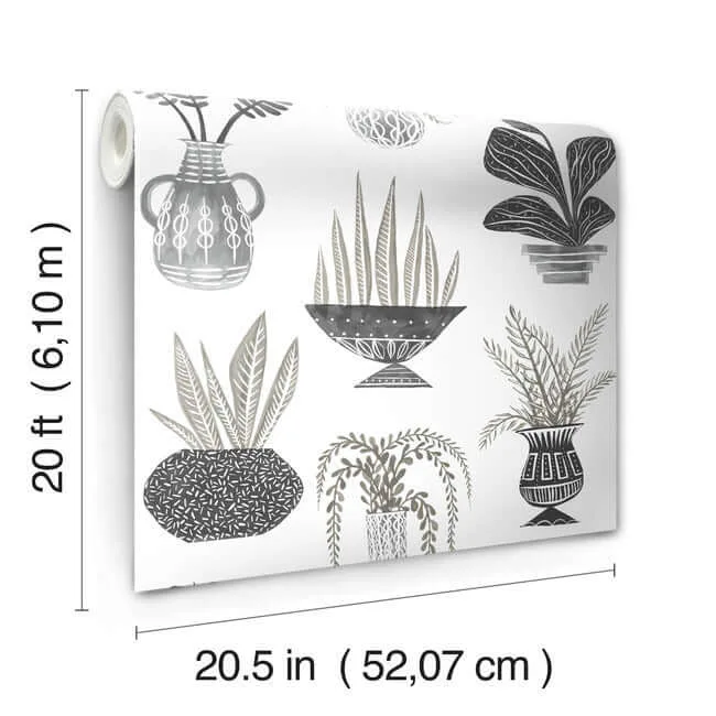 York Wallcoverings Plant Party wallpaper, color Black, SKU PSW1251RL