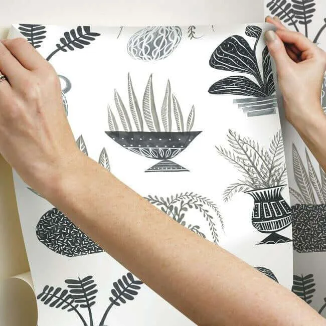York Wallcoverings Plant Party wallpaper, color Black, SKU PSW1251RL
