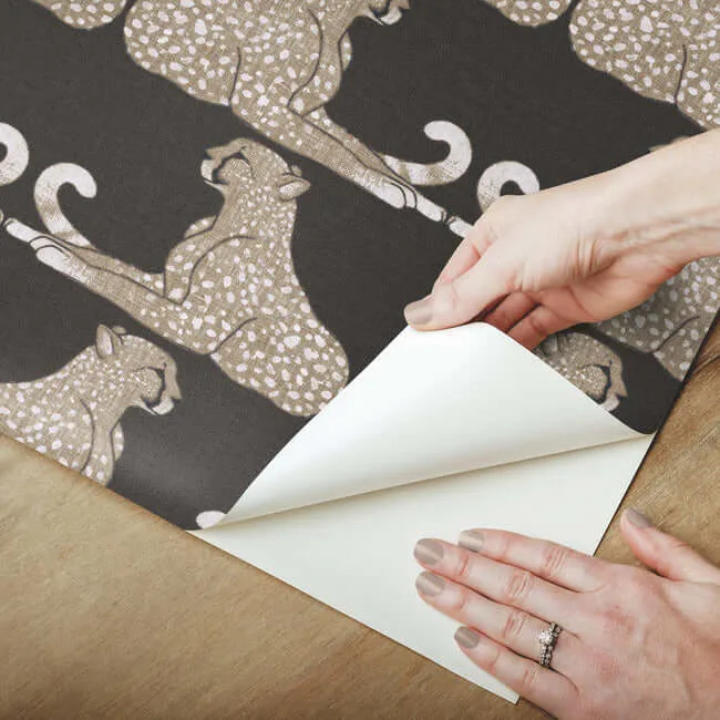 York Wallcoverings Reclining Cheetahs wallpaper, color Black, SKU PSW1355RL