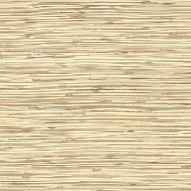 York Wallcoverings River Grass wallpaper, color Beige, SKU NZ0781