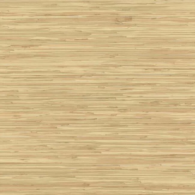 York Wallcoverings River Grass wallpaper, color Beige, SKU NZ0787