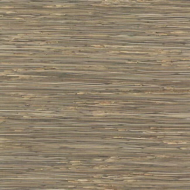 York Wallcoverings River Grass wallpaper, color Black, SKU NZ0786