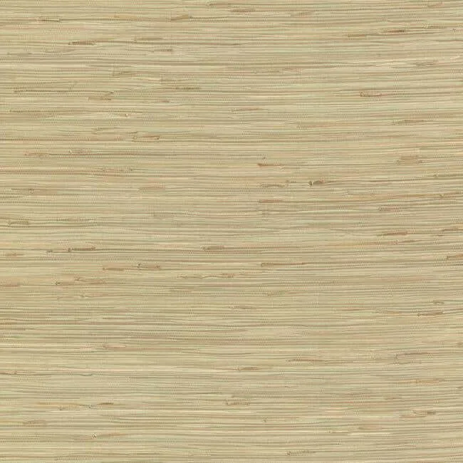 York Wallcoverings River Grass wallpaper, color Green, SKU NZ0780
