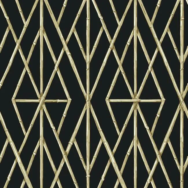 York Wallcoverings Riviera Bamboo Trellis wallpaper, color Black, SKU CV4448