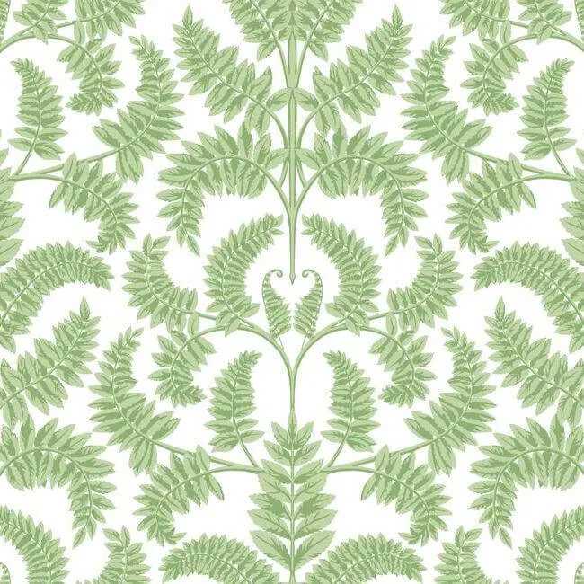 York Wallcoverings Royal Fern Damask wallpaper, color Green, SKU DM4961
