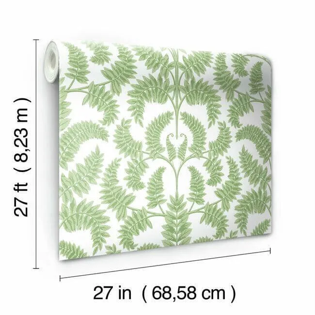 York Wallcoverings Royal Fern Damask wallpaper, color Green, SKU DM4961