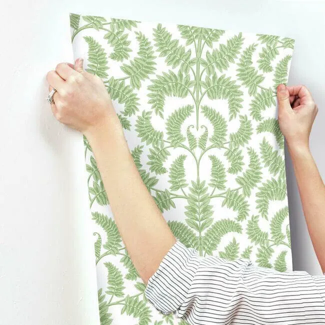 York Wallcoverings Royal Fern Damask wallpaper, color Green, SKU DM4961