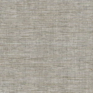 York Wallcoverings Cadence wallpaper, color Salt & Pepper, SKU 212-01