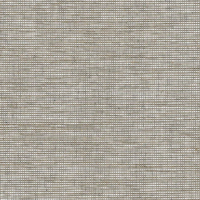 York Wallcoverings Cadence wallpaper, color Salt & Pepper, SKU 212-01