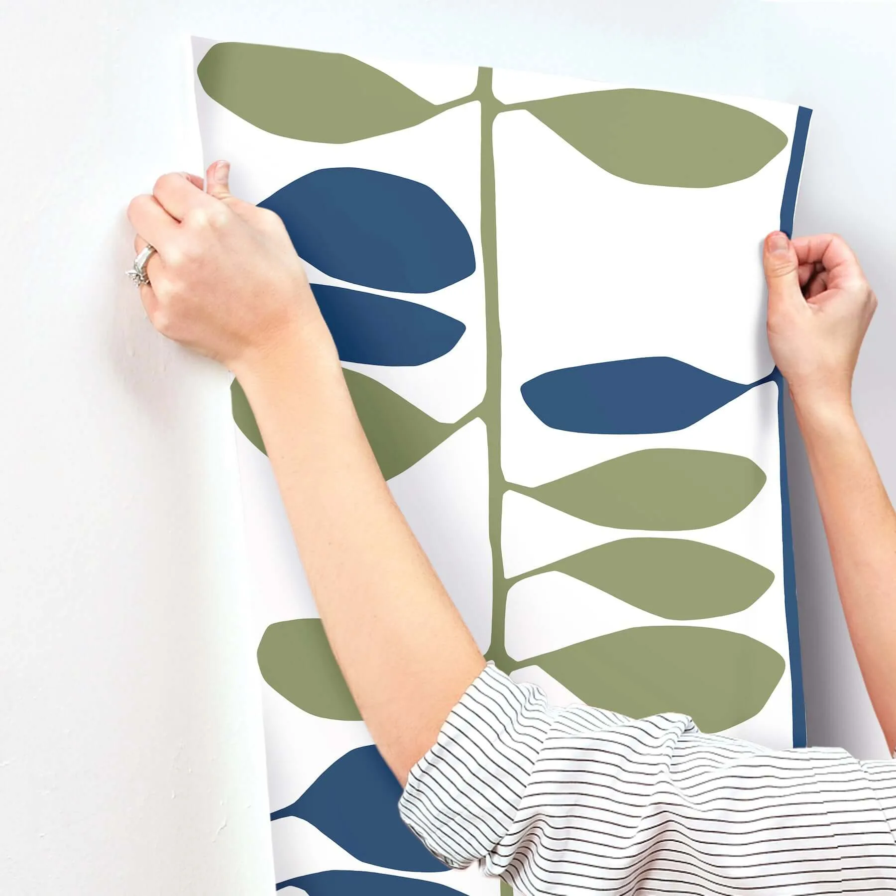 York Wallcoverings Sculpted Vines wallpaper, color Alpine & Ultramarine, SKU ZM2801