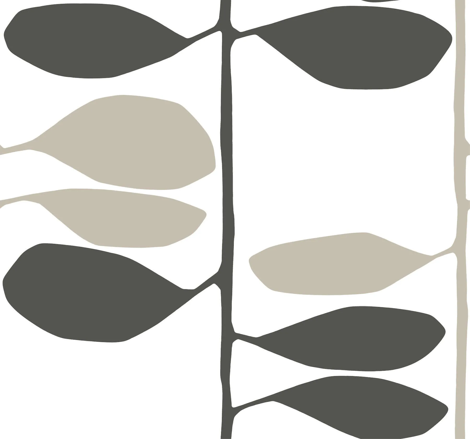 York Wallcoverings Sculpted Vines wallpaper, color Carbon & Linen, SKU ZM2804